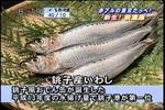 06N03170800-[r]͊yI@HtVOX|b-er60.jpg