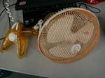 20060625fan.jpg