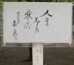 20060713ougitikage.jpg