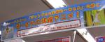 20060806zo-san-zo-san.jpg