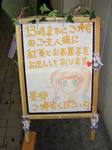 2060619qutierelax.jpg