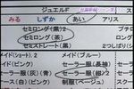 秋葉原最新メイド-日本テレビ007.jpg